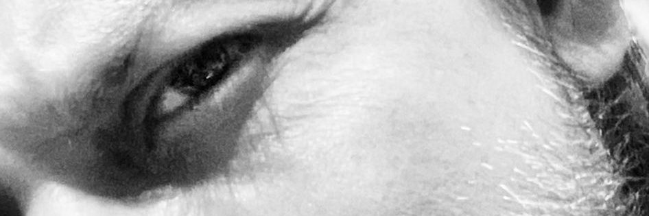 ShakoMO 🌈 #BlackLivesMatter 🕊🫂 banner