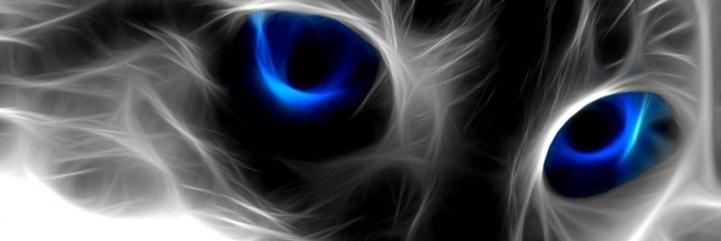 chaka10's profile banner image