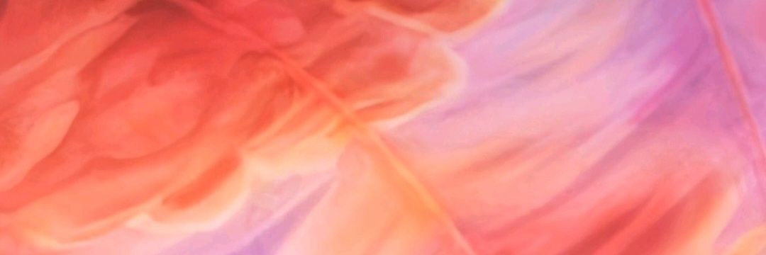 marisolvom22's profile banner image
