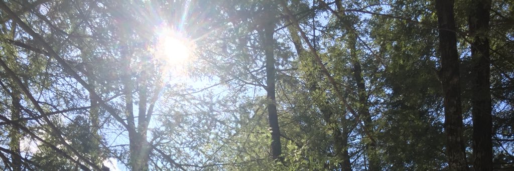 MmeBedarf's profile banner image