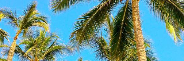 kaylamack17's profile banner image