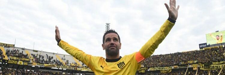 marucarbone's profile banner image