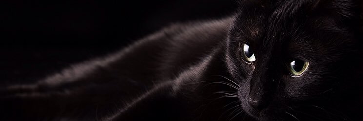 Joiisy's profile banner image