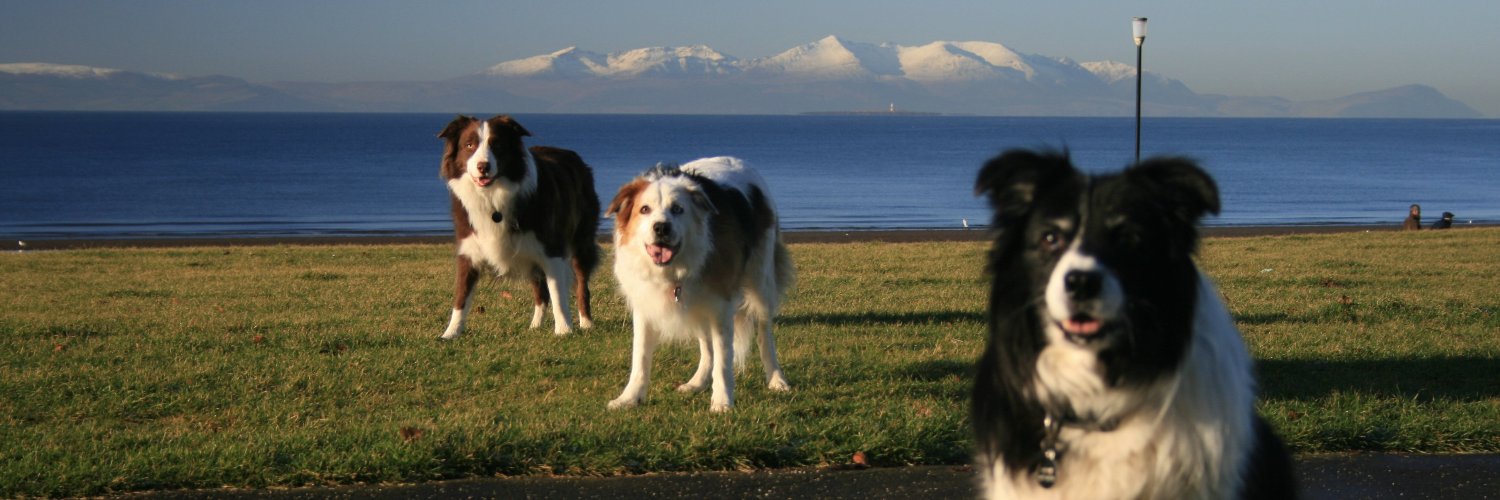 chicthomson's profile banner image