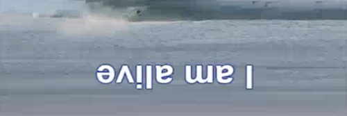 flewelle's profile banner image