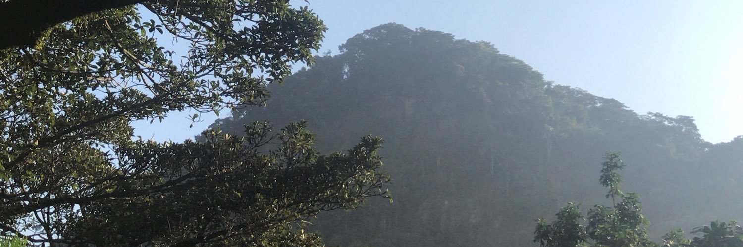 miniosdidi's profile banner image