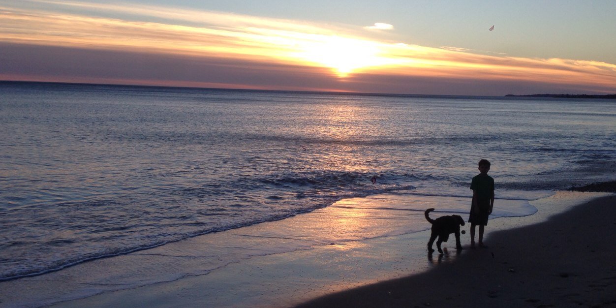 Austin Croshere banner