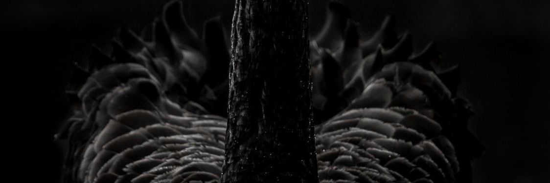 jiipeerrr's profile banner image