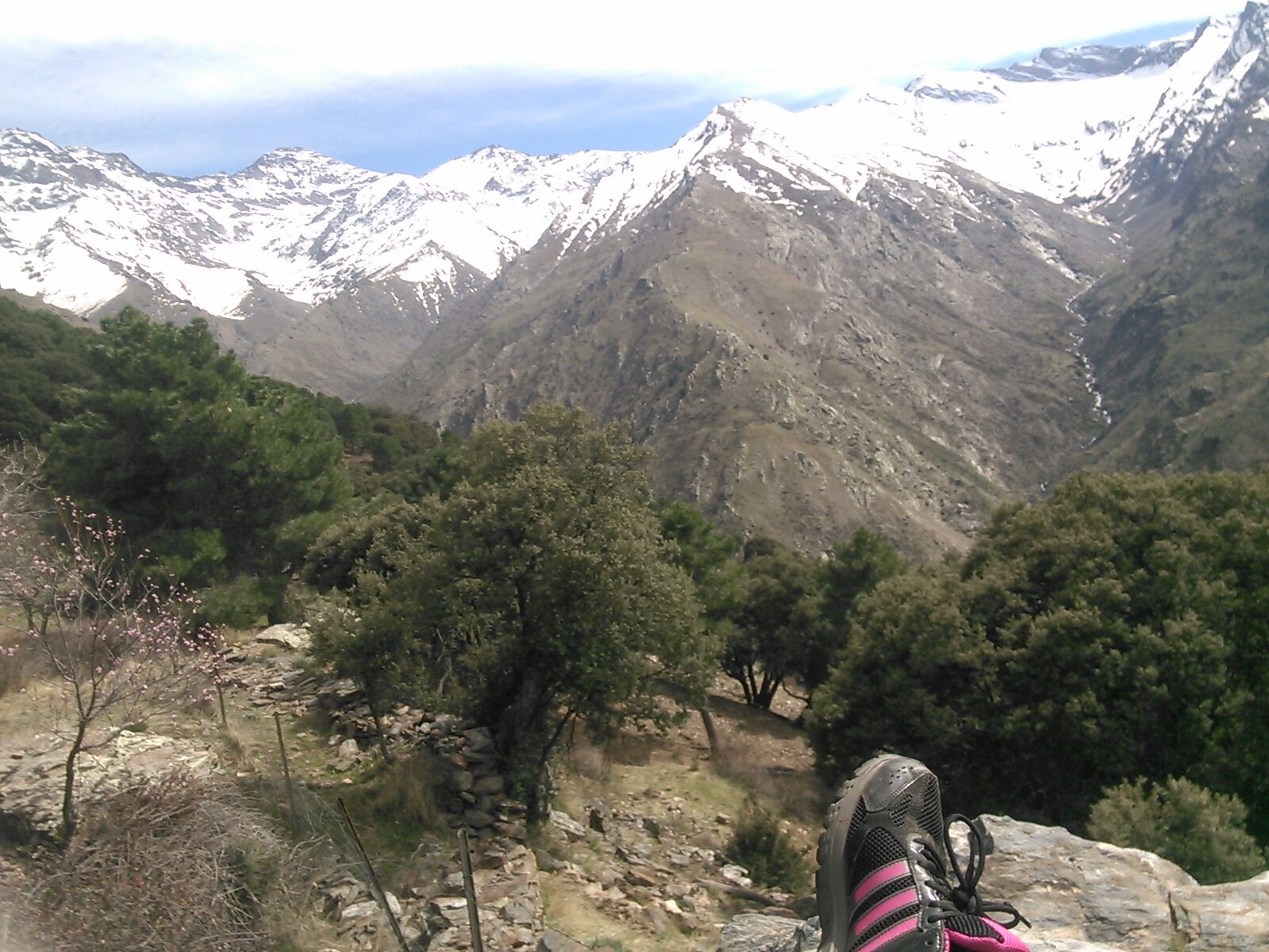 malulo15's profile banner image