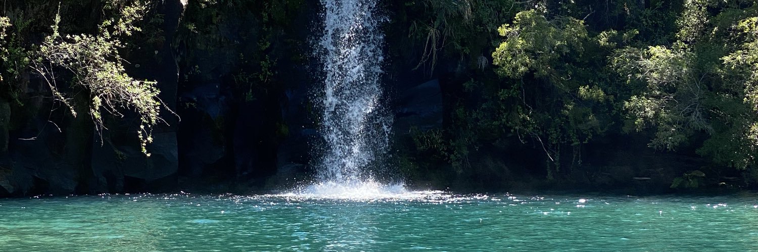 Sergio Sarracina banner