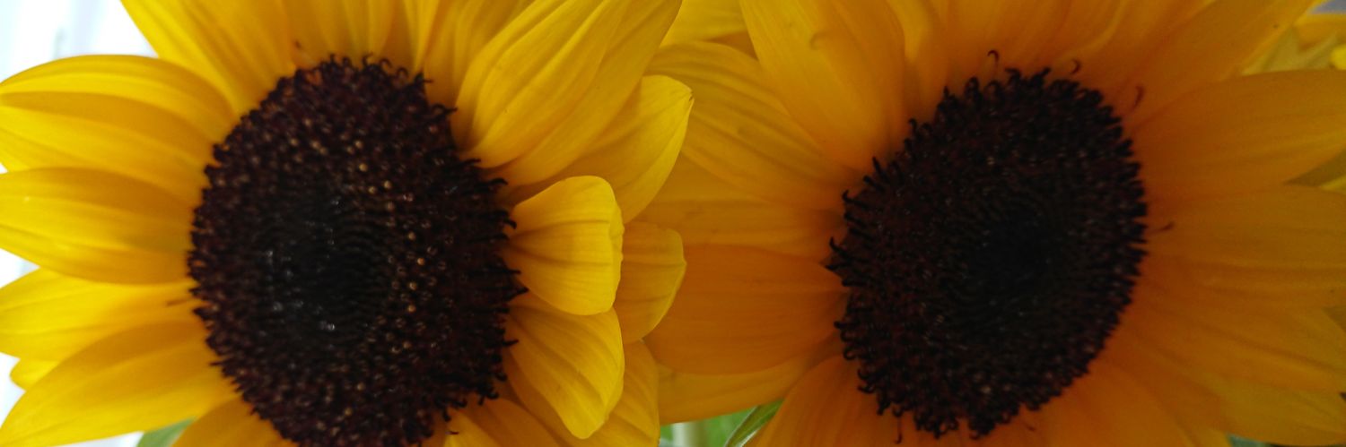 maririn_sup's profile banner image