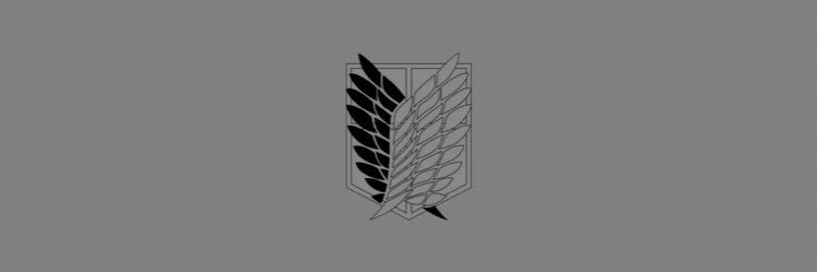slzrsly's profile banner image