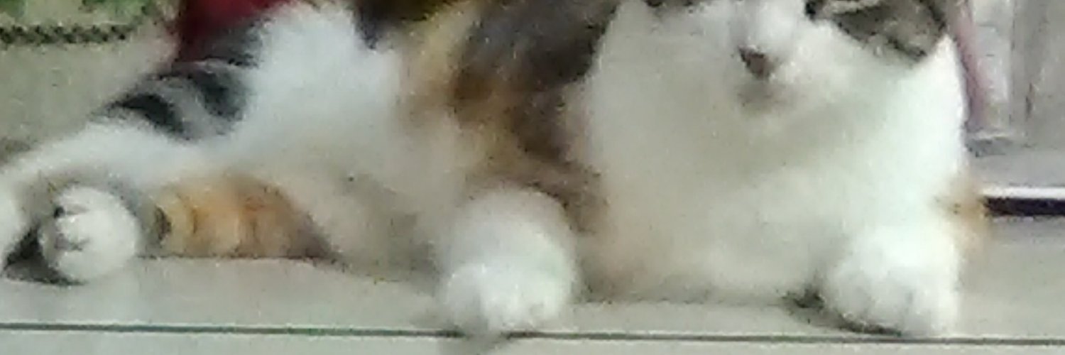 libbasanders77's profile banner image