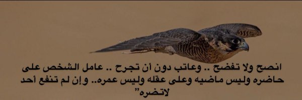 🖋️محمد منصور الشريف Profile Banner