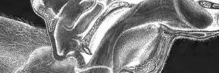 bimoodch's profile banner image