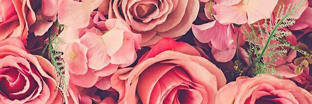 lolablie's profile banner image