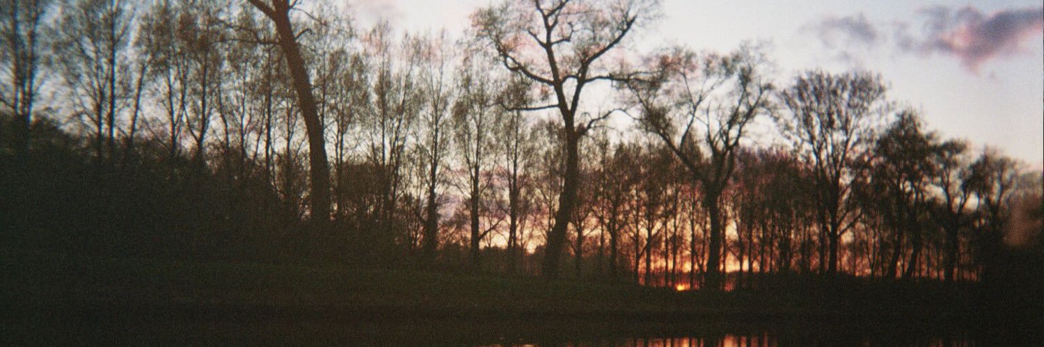 franvdr1's profile banner image