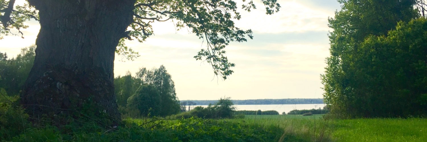 markusiBlogg's profile banner image