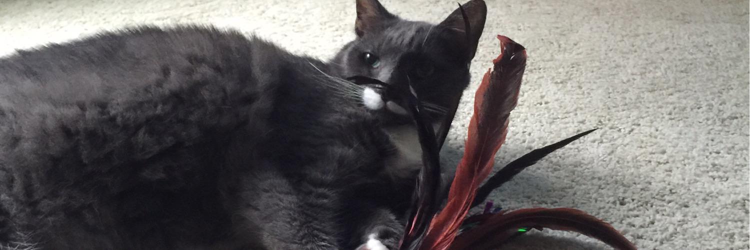 bethuntchramsey's profile banner image