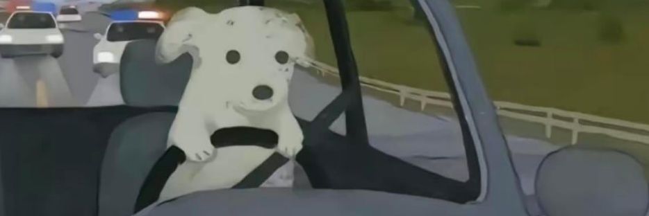 RobRodP's profile banner image