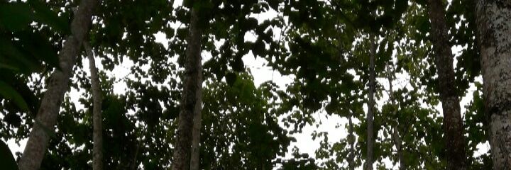 Melina99ar's profile banner image