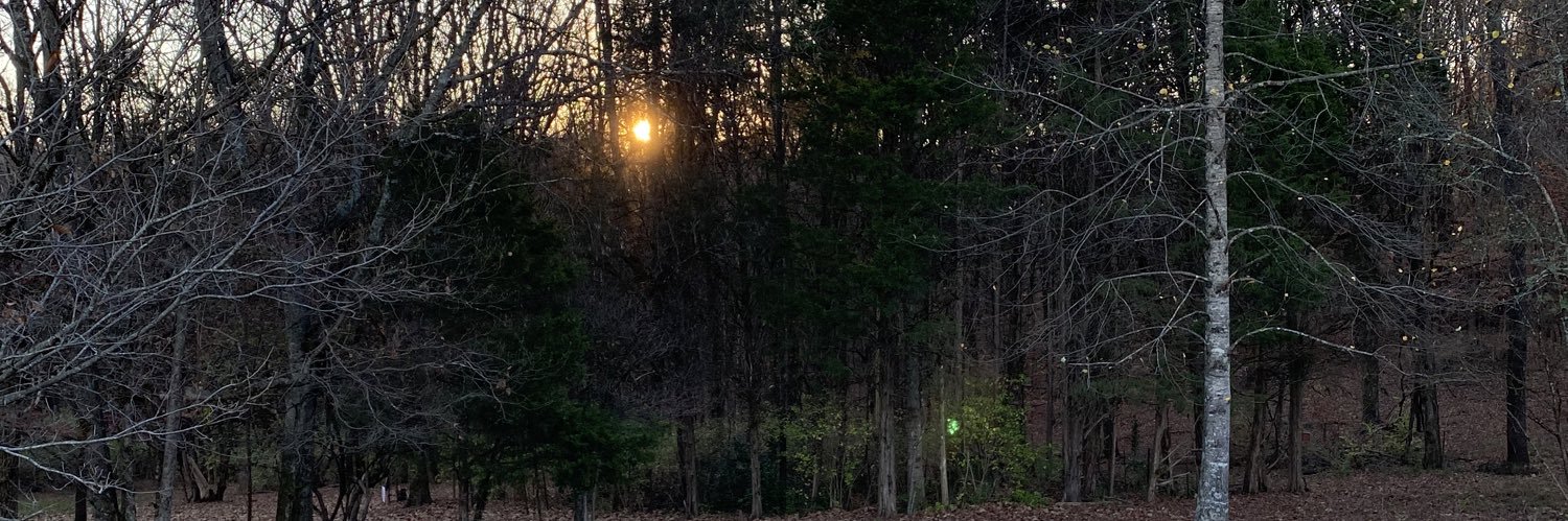 TonaNeal's profile banner image