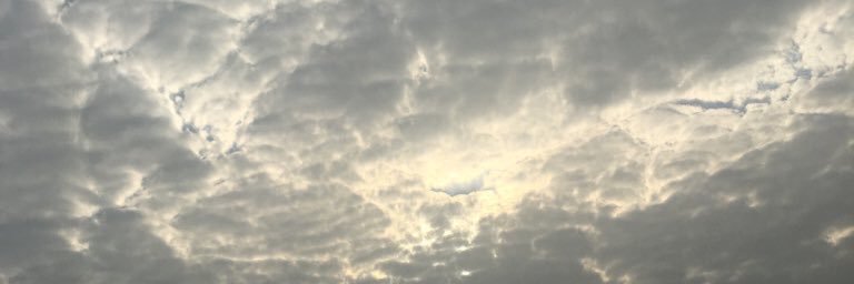 FheedPt's profile banner image