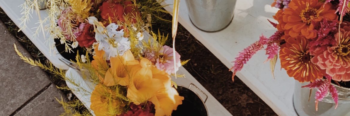 HayleyFields6's profile banner image