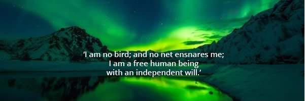 Whippet servant banner