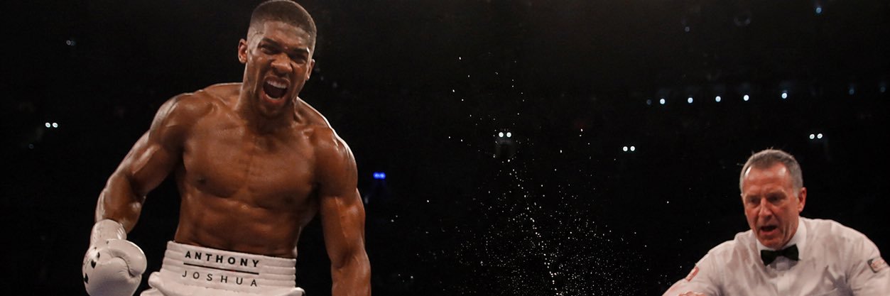 knockoutNet84's profile banner image