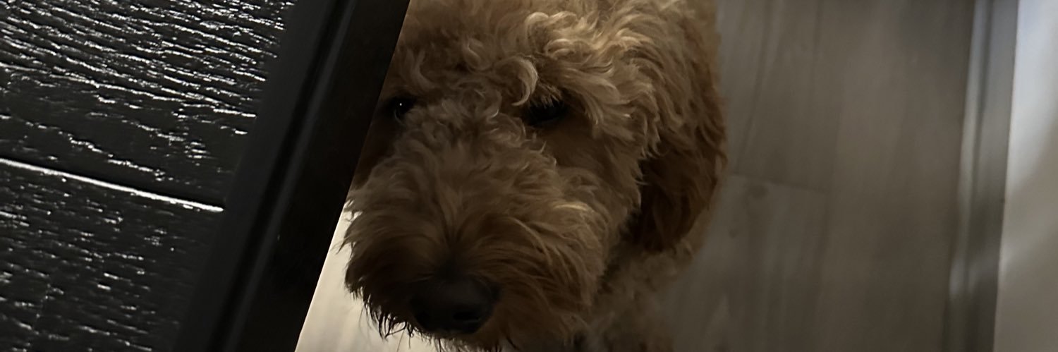 danilovelasco_'s profile banner image