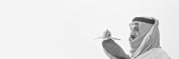 trq4_'s profile banner image