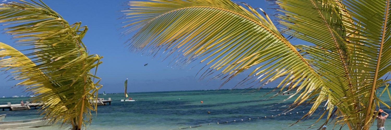 Mike Angelidis banner