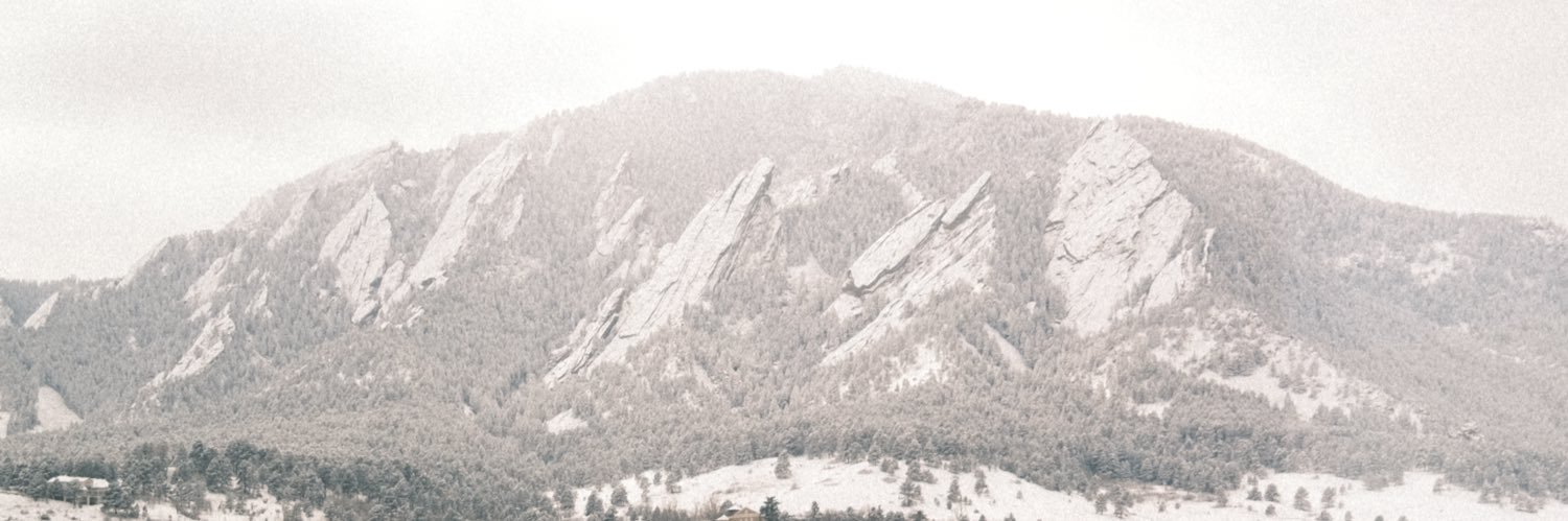 Ally Milton banner