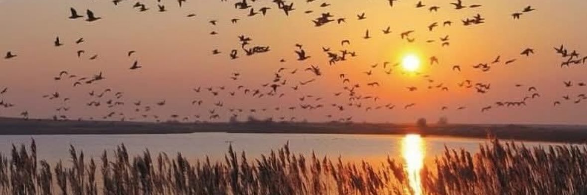 Iman Ebrahimi banner