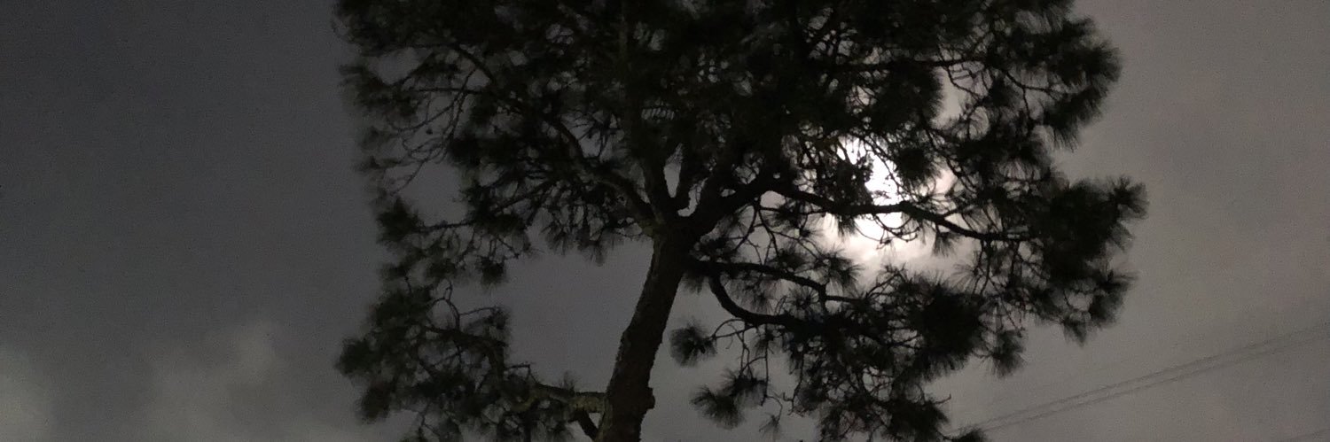 mimcheryla's profile banner image
