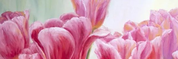 dralulacampos Profile Banner