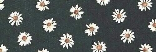 deilyn__'s profile banner image