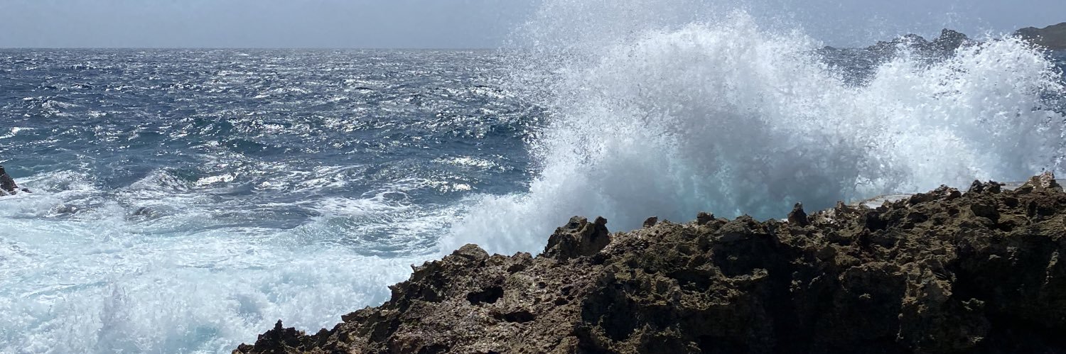 Vineeth Lagouit banner