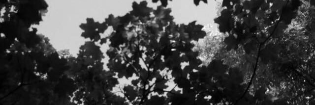 xbettiinax's profile banner image