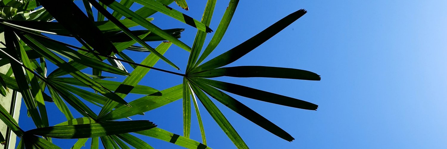 Denesisys's profile banner image