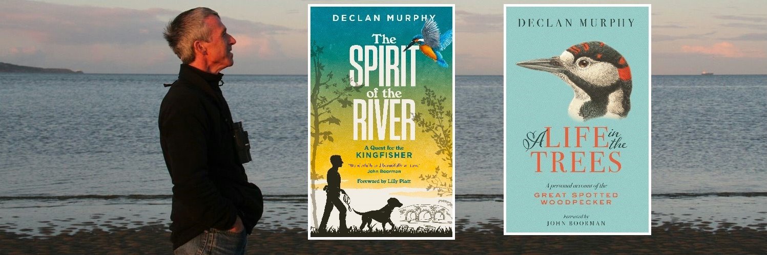 Wicklow Nature banner