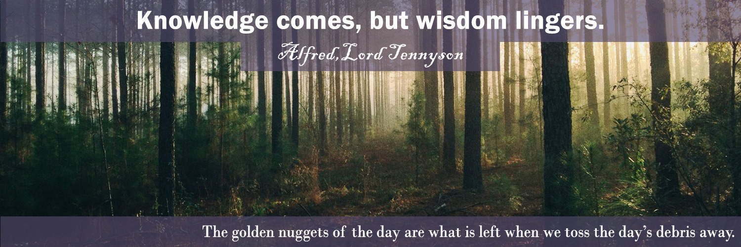 Lynn Johnson banner