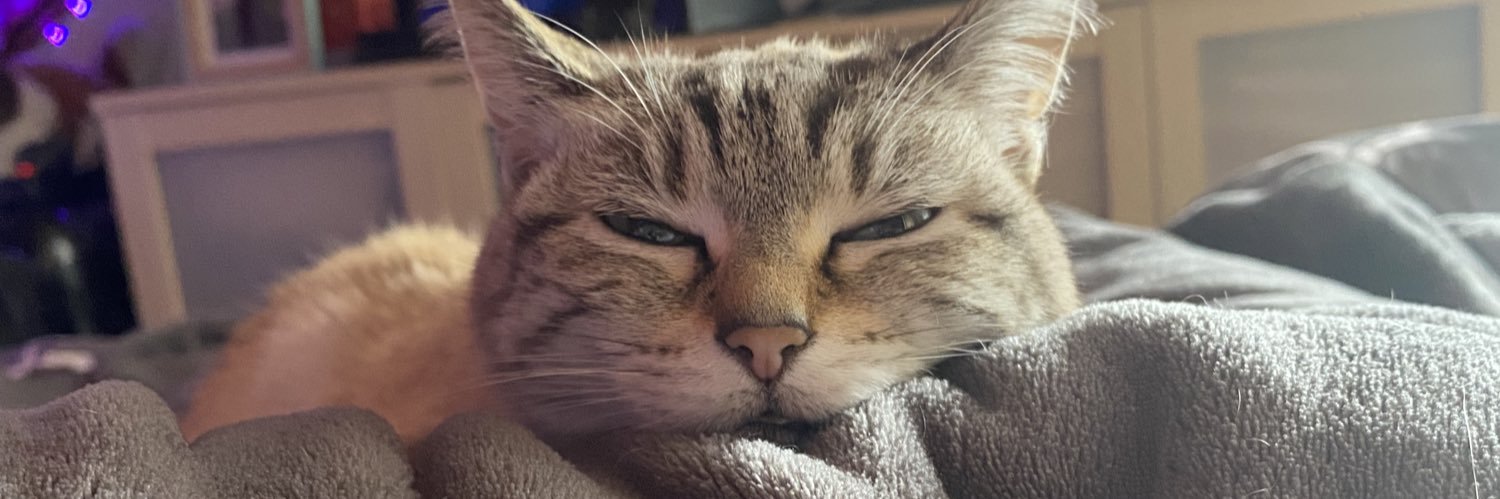 peaky_lj's profile banner image
