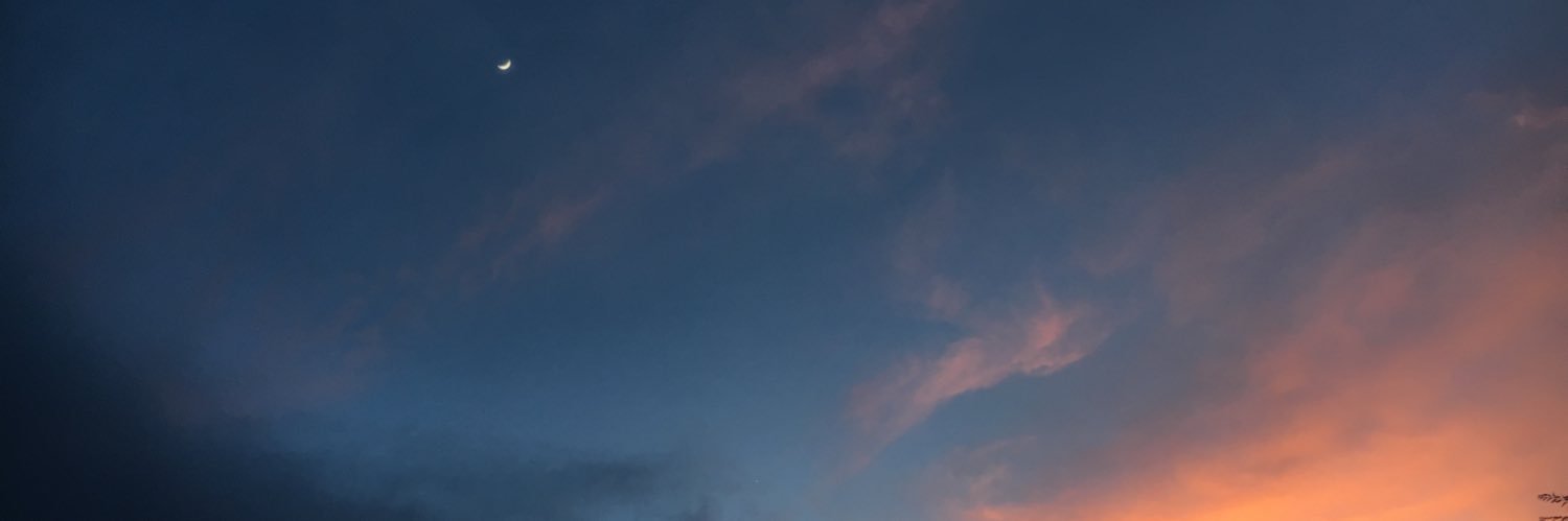 ayssalimon's profile banner image
