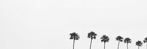 KaylinZeltmann's profile banner image