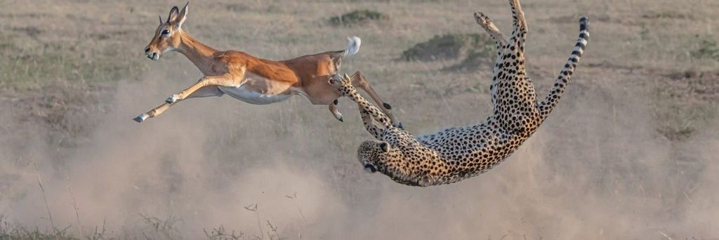 SebogodiK's profile banner image
