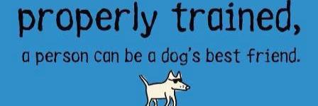 Archie & William banner