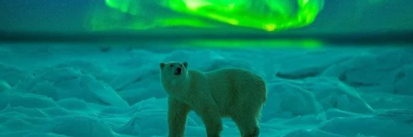 HMakrinioti Profile Banner