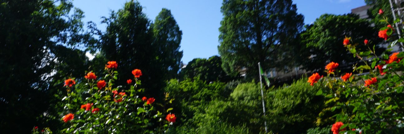 Jennochi's profile banner image